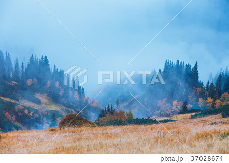 mountain with fog below the peaks 37028674