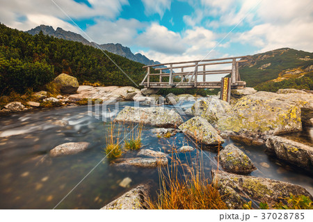 Small stream and waterfall in the mountains Small stream and waterfall in the mountains 37028785