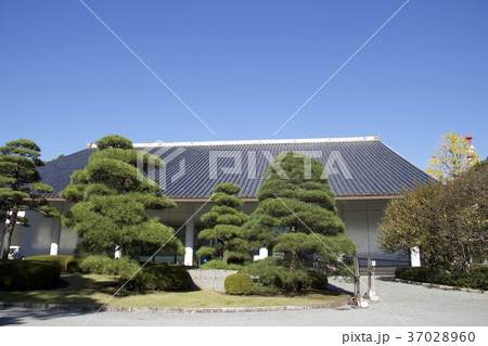 皇居東御苑 37028960
