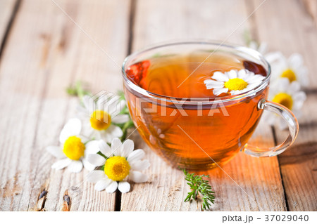 cup of tea with chamomile flowers 37029040