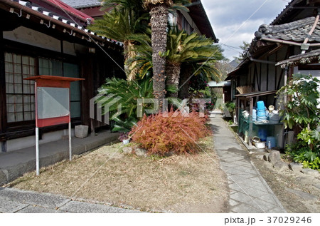 さびしんぼうの寺の西願寺 37029246