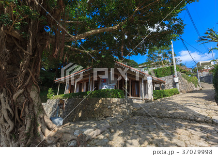 金城村屋　首里金城村屋　那覇市　首里 37029998