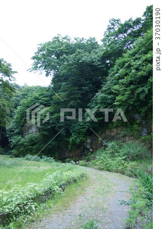 鎌倉 里山の路 鎌倉 里山の路 37030190