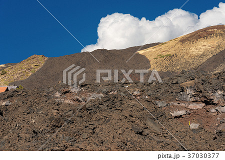 Hardened Lava Flow - Etna Volcano Sicily Italy 37030377