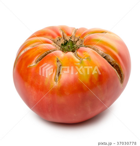 big ripe red tomato vegetable is isolated on white big ripe red tomato vegetable is isolated on white 37030778