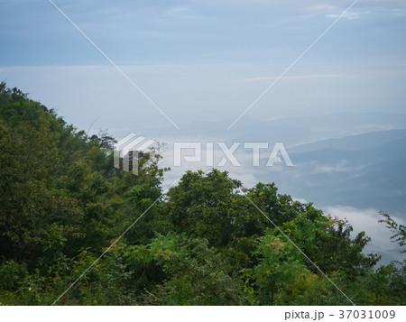 Beautiful cloudy weather in mountains 37031009