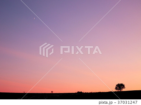 美瑛の夕暮れ2 37031247