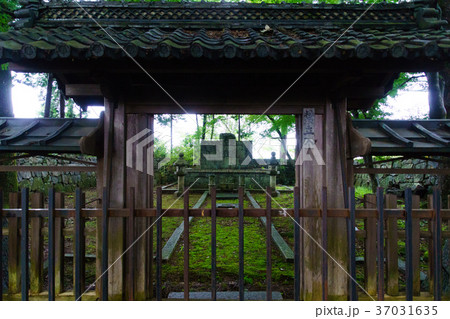 安土城跡の信長の眠る地 37031635