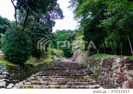 安土城跡の石段その４（横） 37031647
