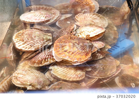 cheese scallop street food korea 37032020