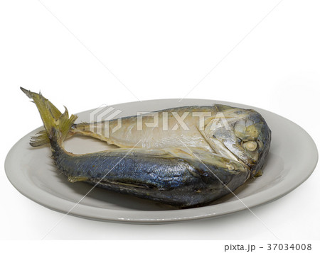 Closeup Mackerel fish from Andaman sea. Closeup Mackerel fish from Andaman sea. 37034008