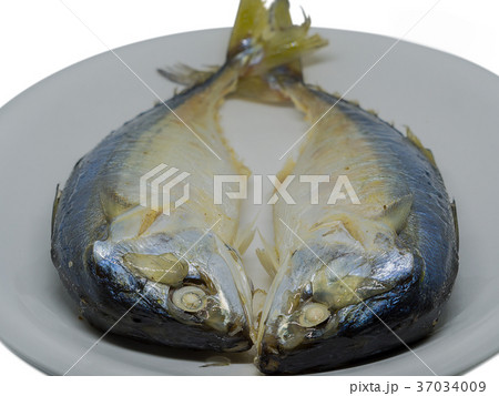 Closeup Mackerel fish from Andaman sea. 37034009