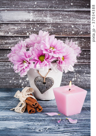 Pink chrysanthemum in concrete pot 37034388