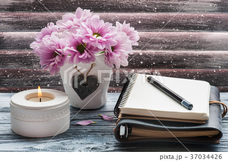 Pink chrysanthemum in concrete pot Pink chrysanthemum in concrete pot 37034426