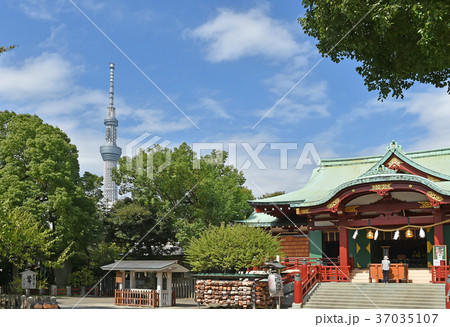 東京都江東区亀戸 亀戸天神社と東京スカイツリーの写真素材
