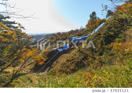 秋の春日山城の風景 秋の春日山城の風景 37035121