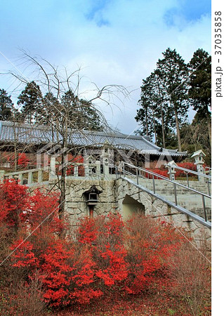 紅葉の呑山観音寺百観音堂（福岡県） 37035858