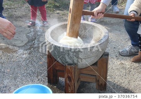 もちつき 37036754