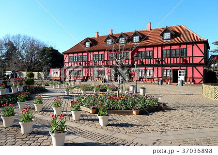 ふなばしアンデルセン公園のアイスチューリップとコミュニティーセンター(12月)千葉県船橋市 ふなばしアンデルセン公園のアイスチューリップとコミュニティーセンター(12月)千葉県船橋市 37036898