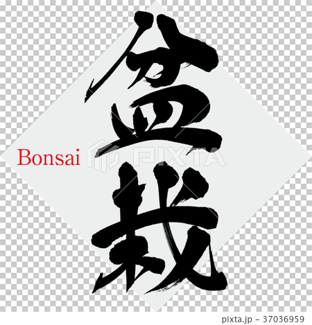 盆栽 Bonsai 筆文字 手書き のイラスト素材