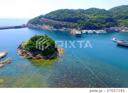 秋目漁港の海岸 秋目漁港の海岸 37037185
