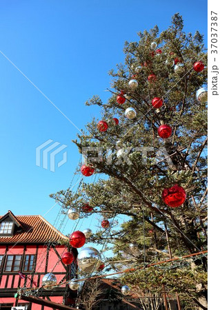 ふなばしアンデルセン公園のクリスマスツリーとコミュニティーセンター 12月 千葉県船橋市の写真素材