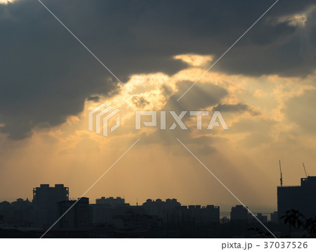光線 夕 宵 37037526