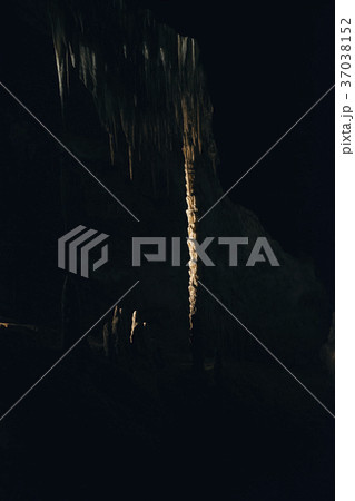 Marakoopa Cave in Mayberry, Mole Creek, Tasmania. 37038152