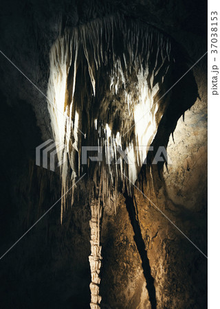Marakoopa Cave in Mayberry, Mole Creek, Tasmania. 37038153