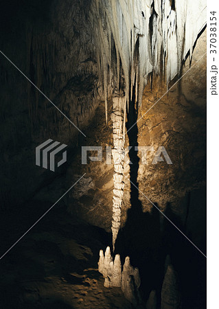Marakoopa Cave in Mayberry, Mole Creek, Tasmania. 37038154