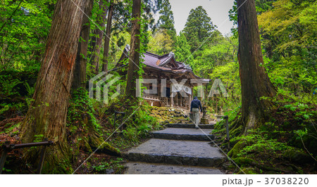 Ancient temple at forest in Tohoku, Japan 37038220