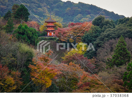 Kiyomizu-dera Temple in Kyoto, Japan Kiyomizu-dera Temple in Kyoto, Japan 37038368