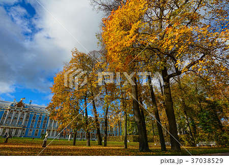 Old buildings in Saint Petersburg, Russia 37038529