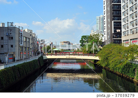 新品川橋から見た品川橋 37039279