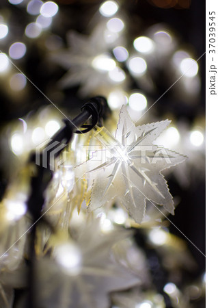 Bokeh light autumn at night background. 37039545