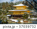 Kinkakuji golden pavilion temple with snow 37039732