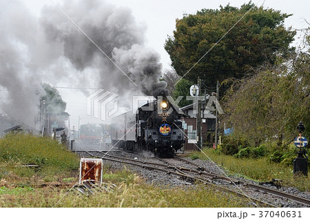 出発のSLハロウィン号 出発のSLハロウィン号 37040631