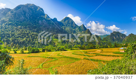 Rural landscape.Vang Vieng, Laos. Panorama 37040937