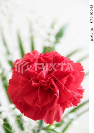 母の日　フラワーアレンジ　Mother's Day　Flower arrangement 37040948