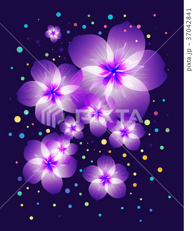 Light purple flowers on dark purple background Light purple flowers on dark purple background 37042841