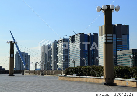 夢の大橋より望む台場の高層ビル群 37042928