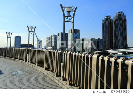 夢の大橋と台場の高層ビル群 夢の大橋と台場の高層ビル群 37042930