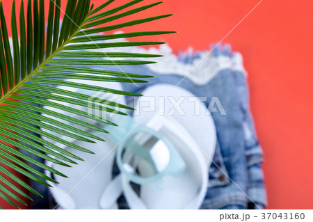 Tropical Background Palm Trees Branches with 37043160