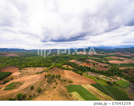 Aerial view of agricultural area 37043259