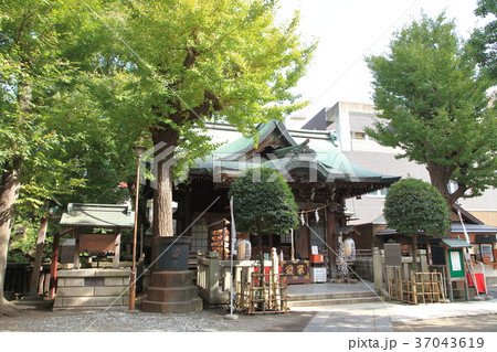 小野照崎神社 台東区 小野照崎神社 台東区 37043619