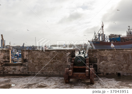 Sqala du Port, a defensive tower, Essaouira 37043951