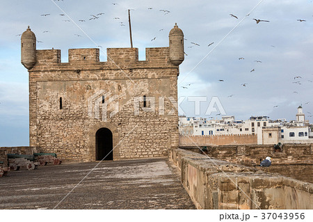 Sqala du Port, a defensive tower, Essaouira 37043956