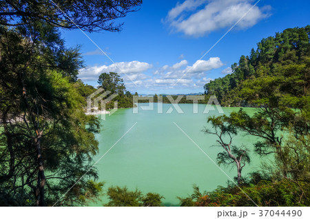 Green lake in Waiotapu, Rotorua, New Zealand 37044490