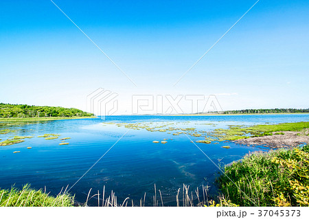 春国岱(しゅんくにたい) 北海道 春国岱(しゅんくにたい) 北海道 37045373