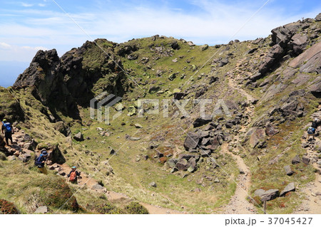 日光白根山 森林限界頂上付近 日光白根山 森林限界頂上付近 37045427